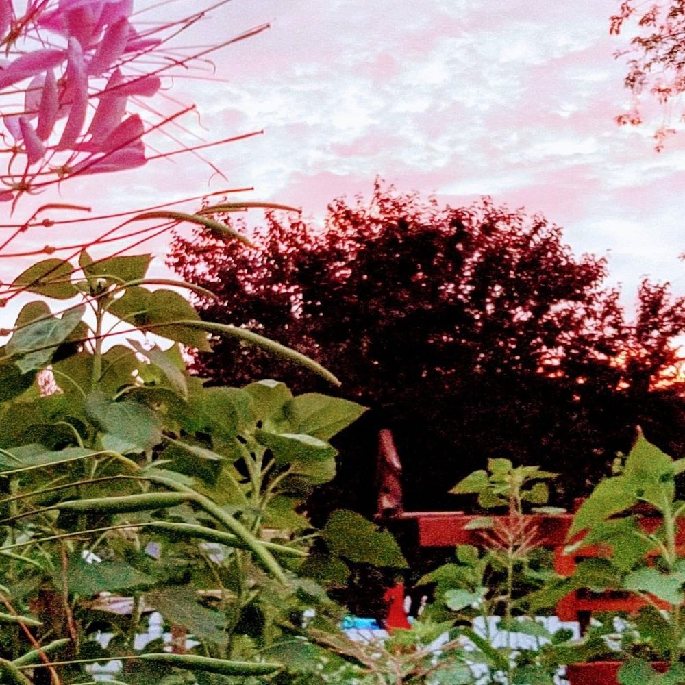 Meet your Posher, Steve